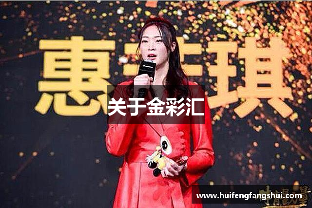 关于金彩汇